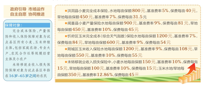 2025全年精准资料免费资料大全-词语释义解释落实