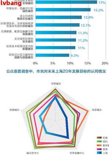 上海最新公布，城市发展的脉搏与未来展望