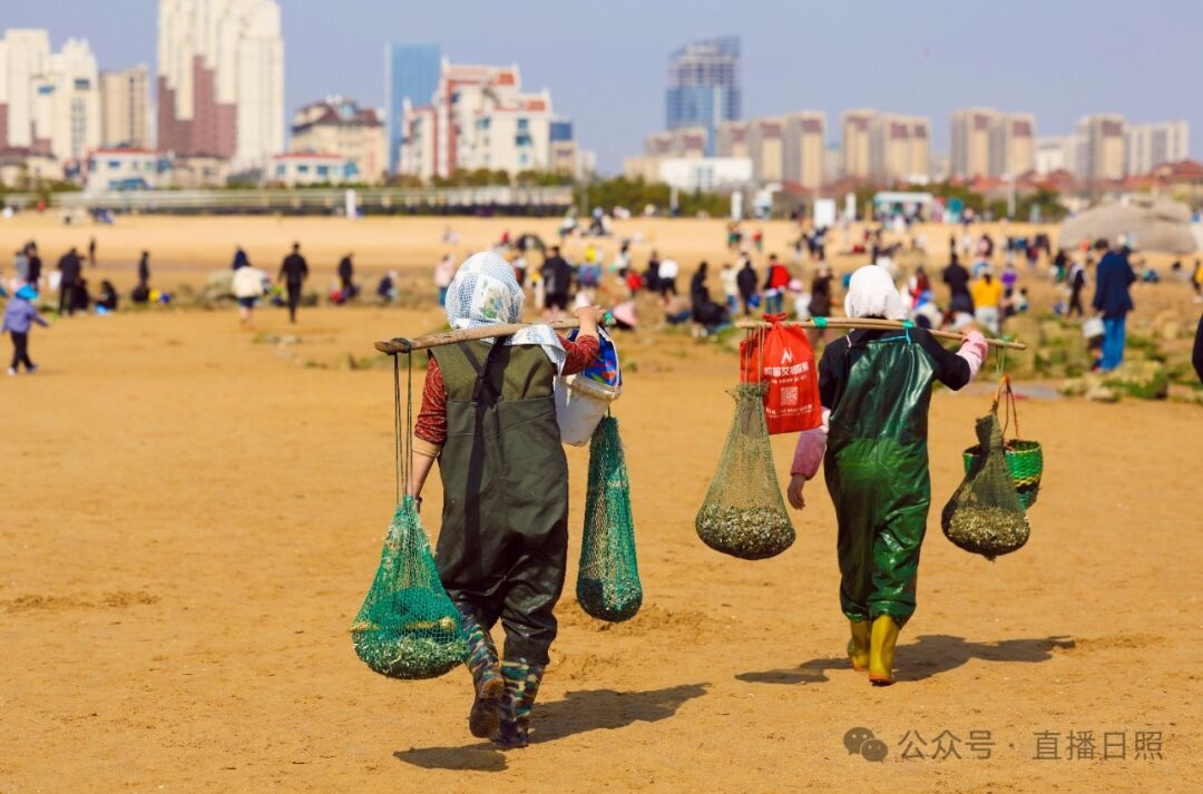 最新小锅赶海体验，探寻海洋宝藏的乐趣